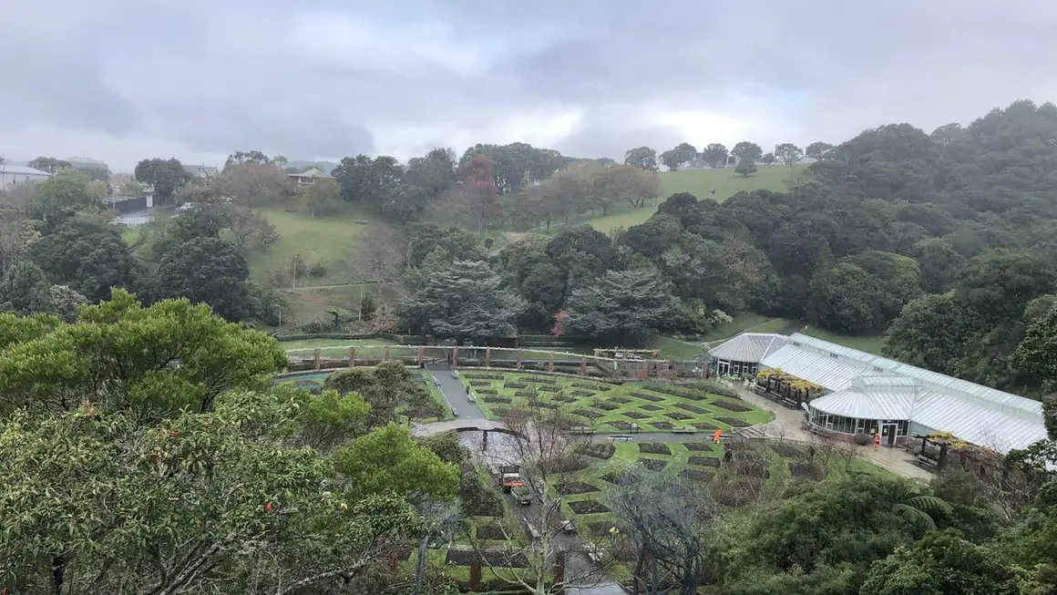 idiomas en origen, fotos Nueva Zelanda42