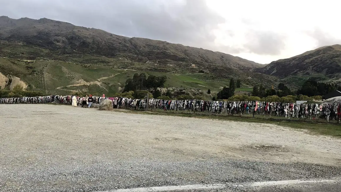 idiomas en origen, fotos Nueva Zelanda24
