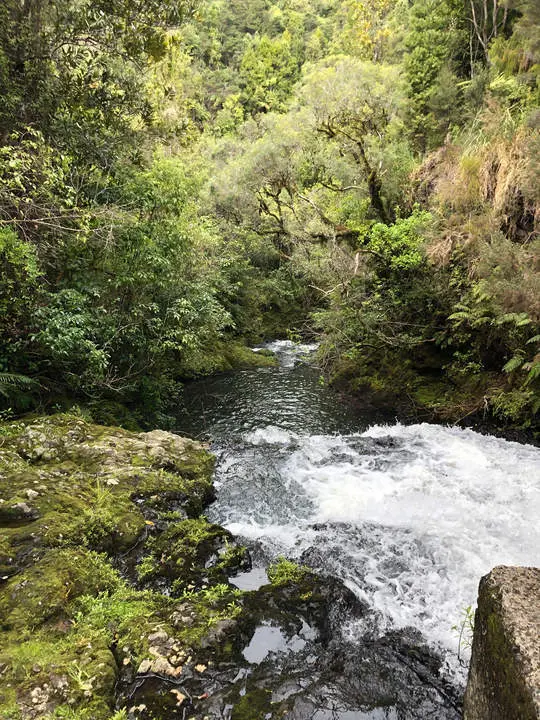 idiomas en origen, fotos Nueva Zelanda20
